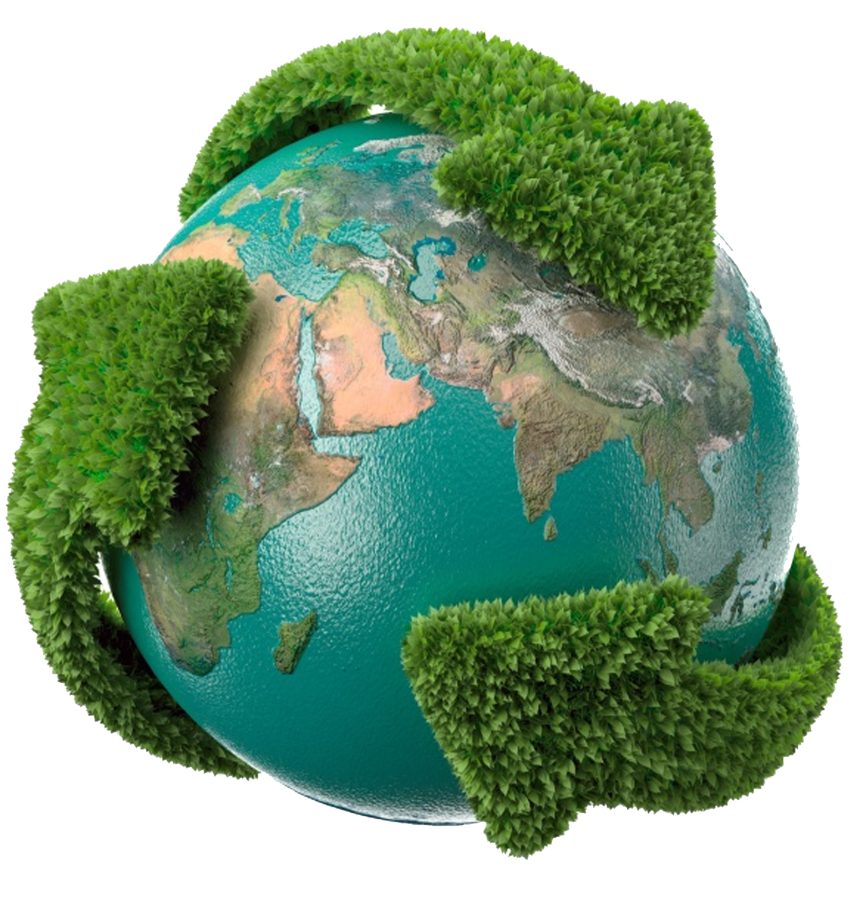 Partners Ecosteam Project