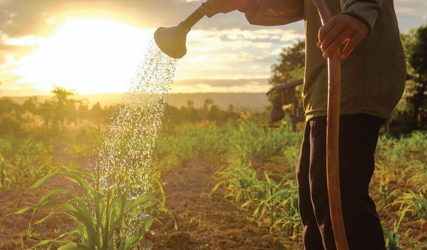 Video esplicativo per l’applicazione della metodologia EcoSteam nelle scuole superiori.