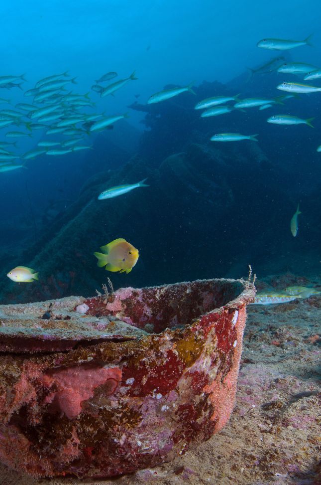 Waste Ecosteam Project