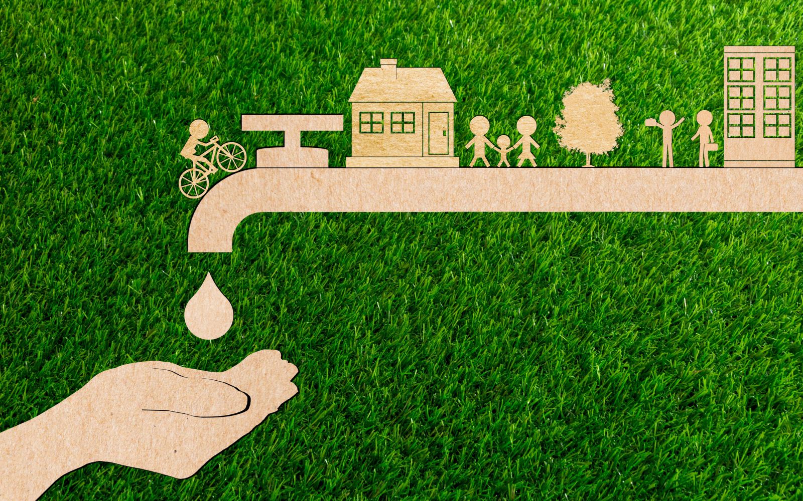 Ecosteam Project