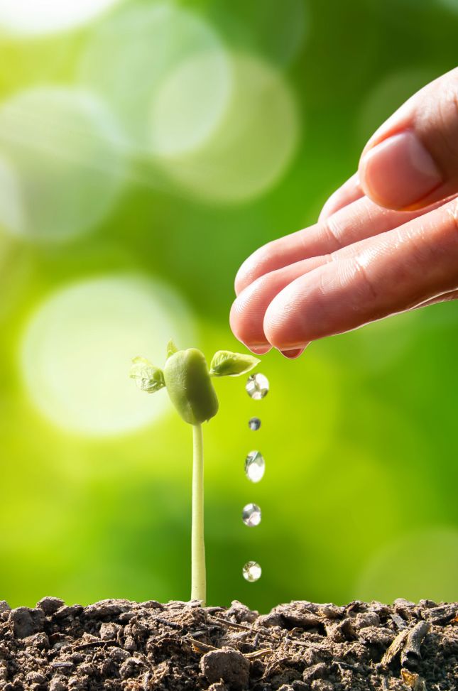 Water Ecosteam Project